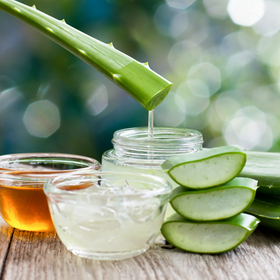 Aloe vera
